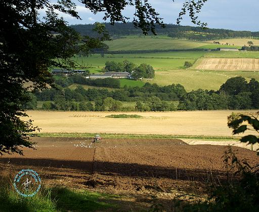 Scottish Borders Rubers Law 9A58D-14.JPG